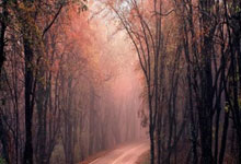 富佳苑2期9号楼1单元701-6号家房屋收租明细