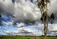 富佳苑2期9号楼1单元701-3号家房屋收租明细