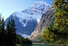 富佳苑2期9号楼1单元801-3号家房屋收租明细