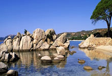 富佳苑2期9号楼1单元701-7号家房屋收租明细